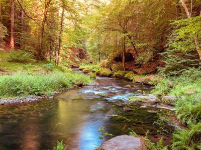 Peaceful Cooks Creek with natural banks and golden light